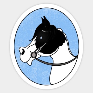 The Apollo - Black and White Paint Horse Sticker